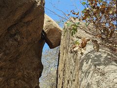 -鲁山国家森林公园