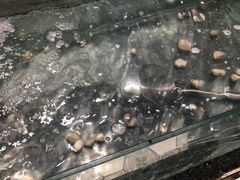 -福成自助烤肉(长阳店)