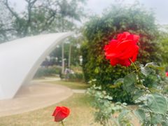 -人民公园(罗湖区)