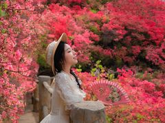 -木兰云雾山