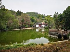 -深圳国际园林花卉博览园