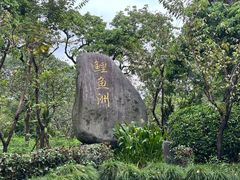 -福建鲤鱼洲酒店