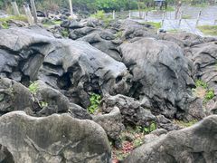 -中国黔江城市大峡谷