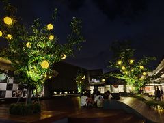 -映水芙蓉(上海万象城店)