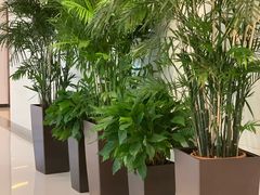 -银座mall(东直门店)