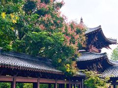 -祥源·阜阳生态乐园