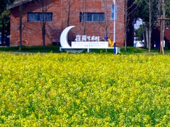 -崔岗艺术村