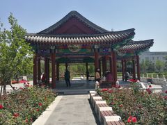 -西海子公园