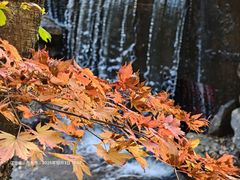 -丹东天桥沟景区
