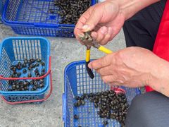 -晓琦农家菜馆·地道农家菜