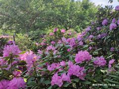 -名花谷生态庄园