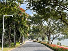 -深圳湾公园(南山区)