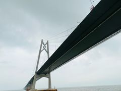 -招商蛇口邮轮母港(观光客运)