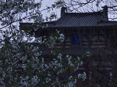 -西安青龙寺遗址景区
