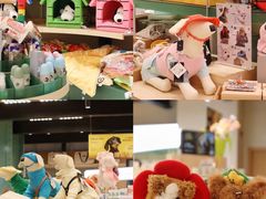 -帕帕拉兹宠物(亚洲旗舰店)