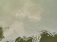 -西北湖绿化广场