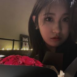 -蚂蚁造型沙龙