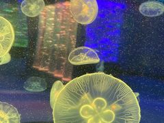 -南昌融创海世界