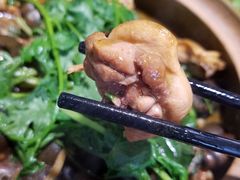 -食爺炭炉鸡煲·烧烤