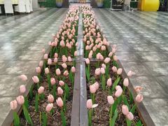 -元鼎宝驴香·全驴宴(江宁店)