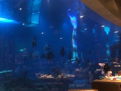 -海棠湾洲际-涛·海底餐厅·美人鱼·自助餐·海底隧道