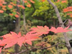 -本溪关山湖风景区
