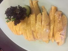 -Asianplus海蓝鸡饭