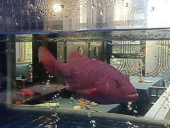 -海鲜潮·株洲海鲜集市(栗雨店)