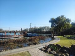 -昆山城市生态森林公园