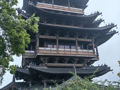 -杭州半山国家森林公园