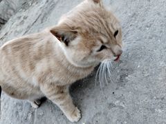 -终南山南五台景区