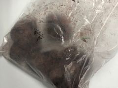-奈雪的茶(凯德新都心店)