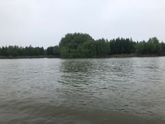 -溱湖国家湿地公园