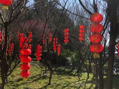 -天目湖山水园