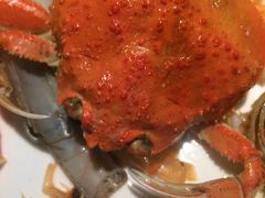 -甄品麦哲伦海鲜和牛自助(万达广场店)