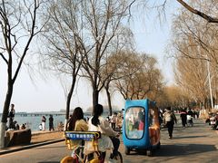 -丁香湖公园