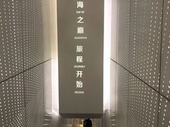 -上海中心大厦