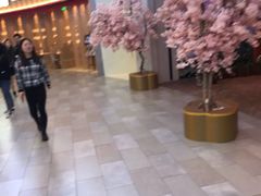 -茶马花街(城西银泰城店)