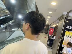 -藤野造型