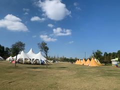 -上海长兴岛郊野公园