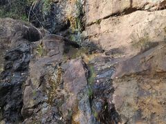 -南京市无想山景区