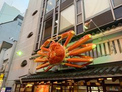 -蟹道乐(道顿堀本店)