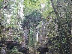 -梭布垭石林景区