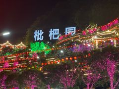 -枇杷园食为鲜火锅(南山店)