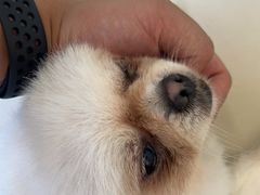 -怪兽屋·羊驼·猫咖·狗咖(俊华广场店)