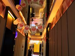-星聚会KTV(苏州尹山湖歌林公园店)