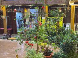 -小红帽摄影(丽江店)