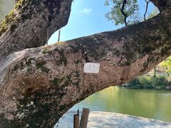 -上坦村