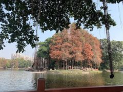 -西关竹园(荔枝湾店)