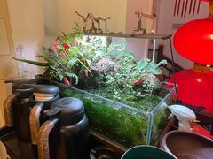 -山水茶艺馆·点心粤菜·30年老字号